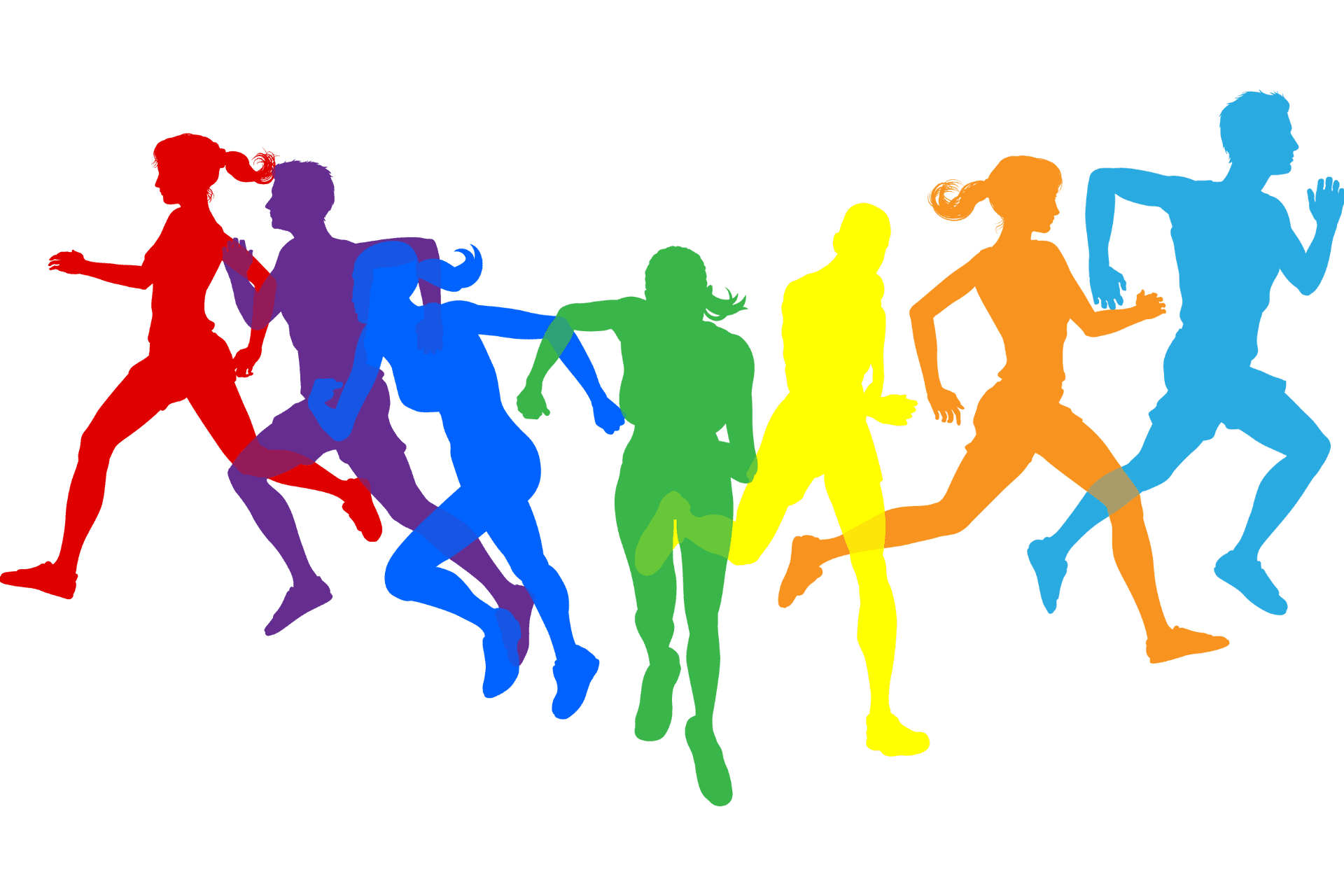 Cancha Principal Voleibol